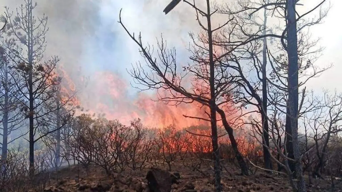 incendios 1